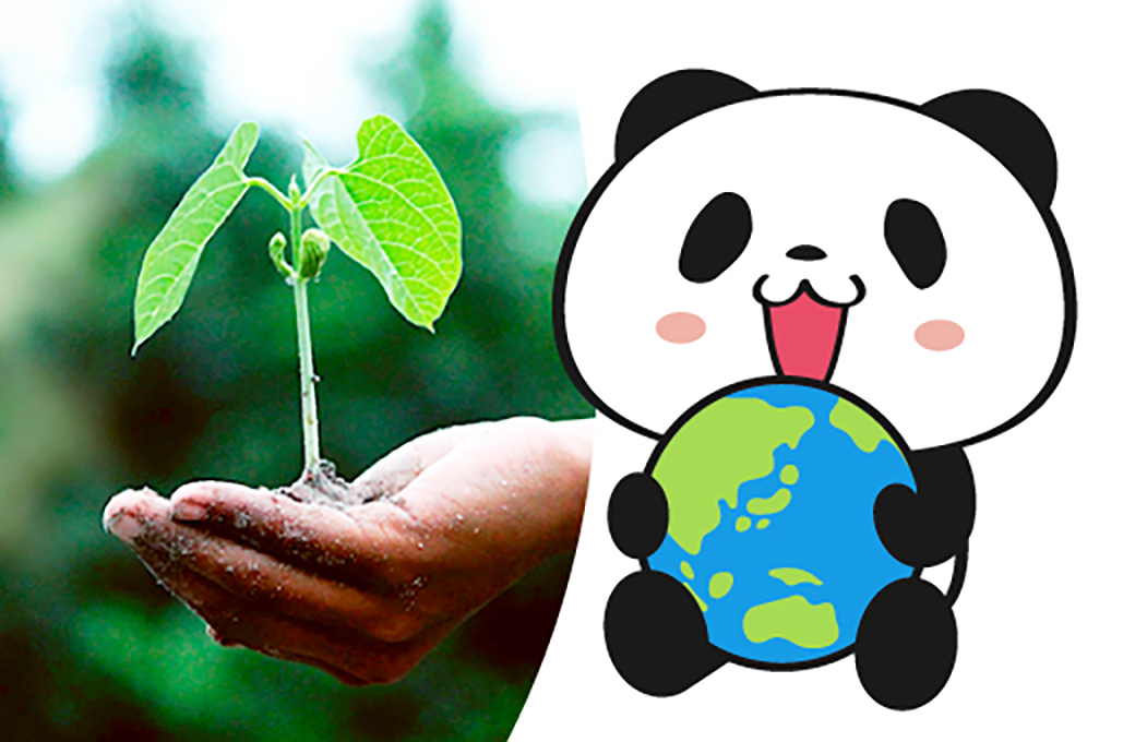 Environmental Conservation Support Fund