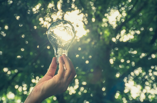 How Rakuten Kobo is working towards a sustainable future